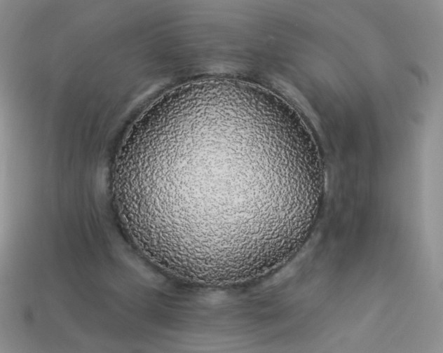 X0000113960249200910091635