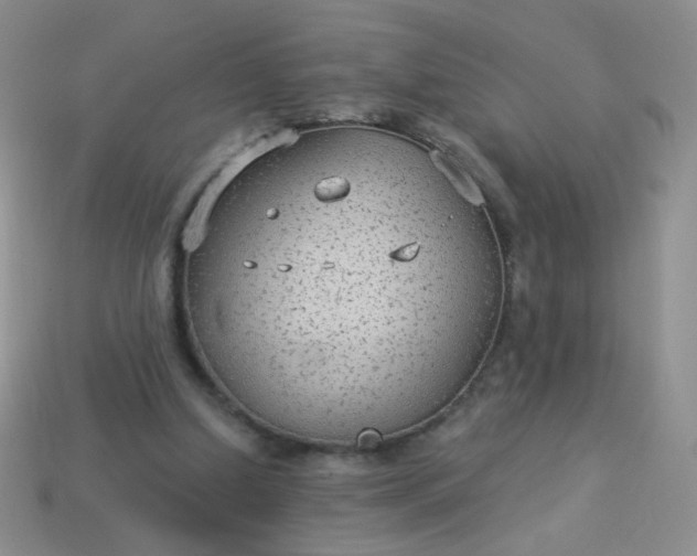 X0000113960250200910091635