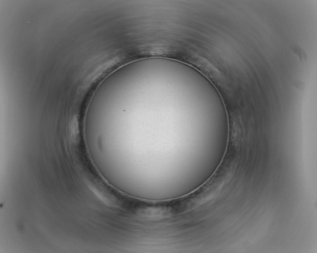 X0000113960251200910091635