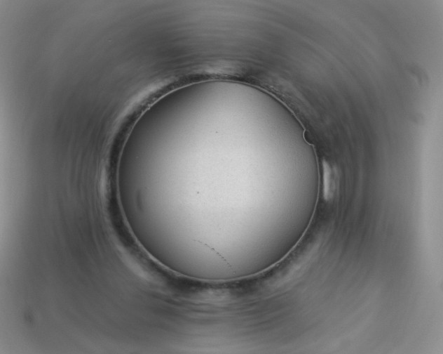 X0000113960252200910091635