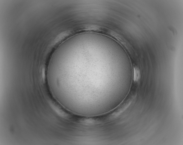 X0000113960253200910091635