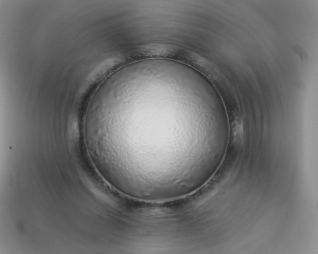 X0000113960254200910091635