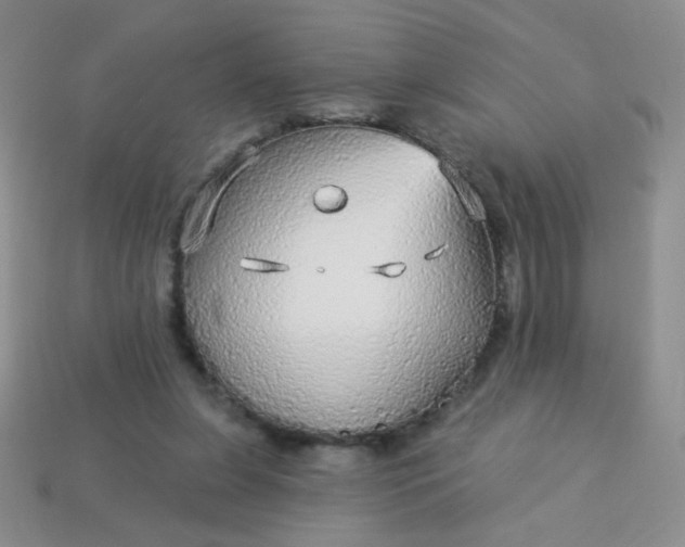 X0000113960255200910091635