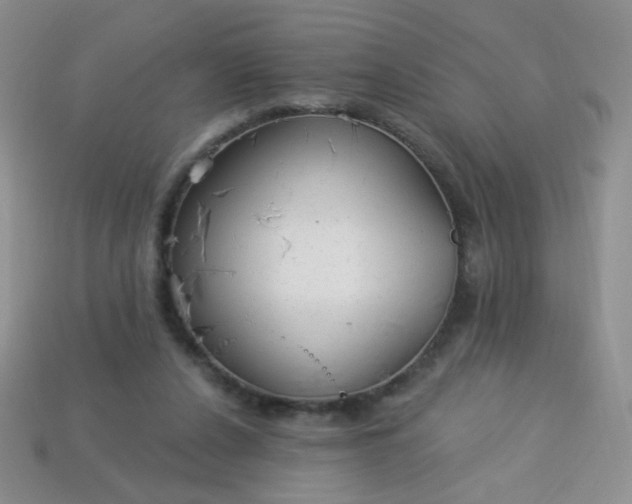 X0000113960256200910091635