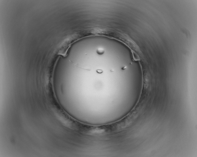 X0000113960257200910091635