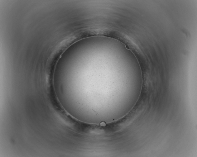 X0000113960258200910091635