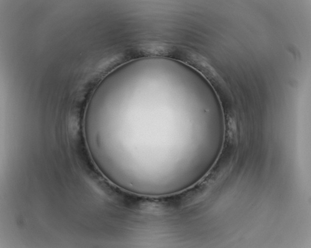 X0000113960259200910091635