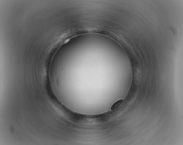 X0000113960260200910091635