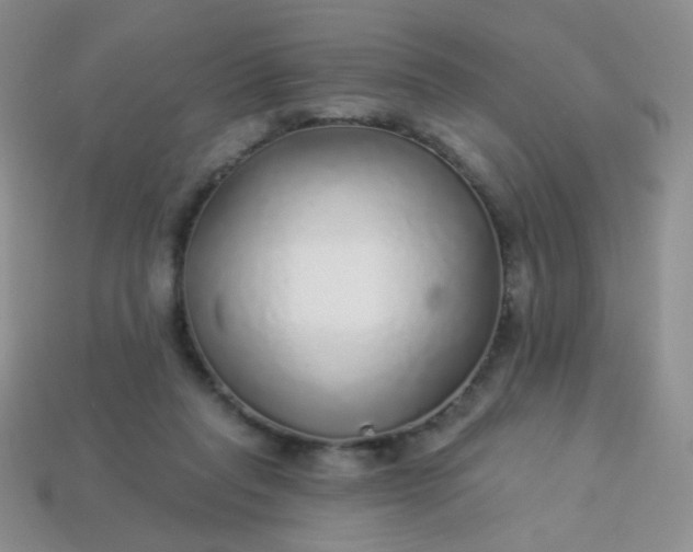 X0000113960261200910091635