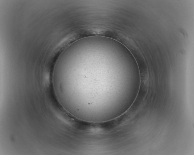 X0000113960262200910091635