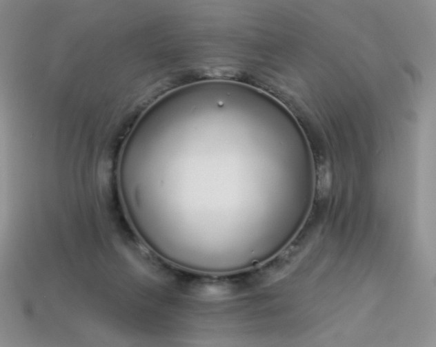 X0000113960263200910091635