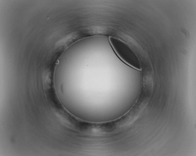 X0000113960264200910091635