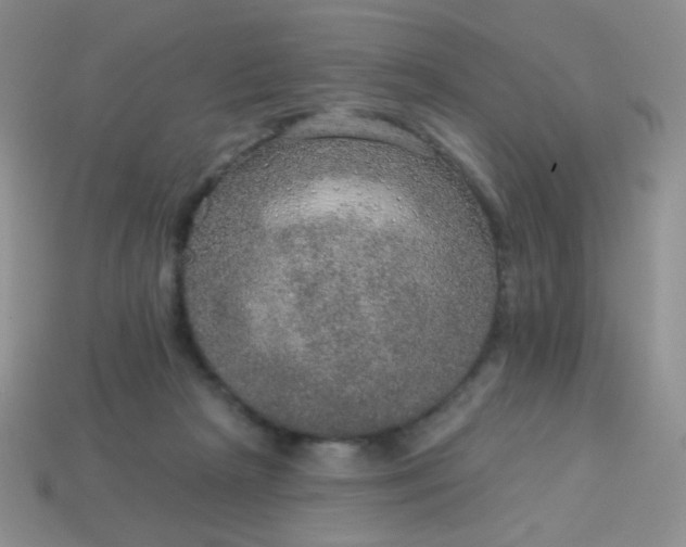 X0000113960265200910091635