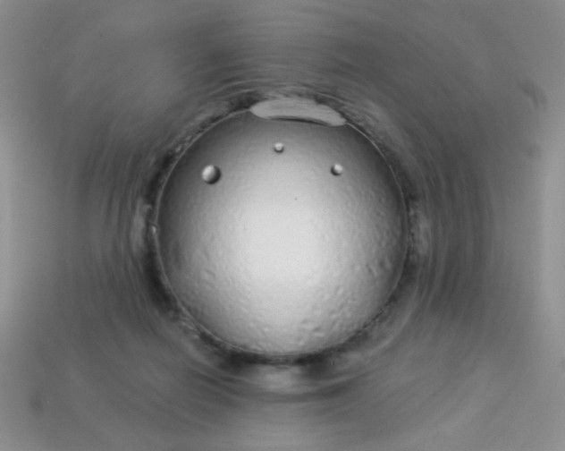 X0000113960266200910091635