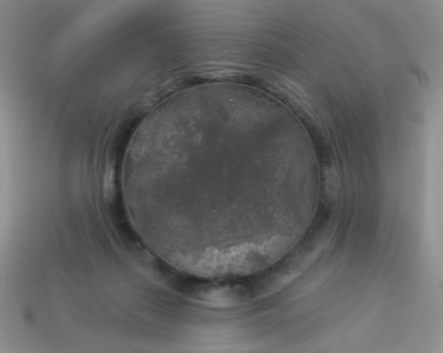 X0000113960267200910091635