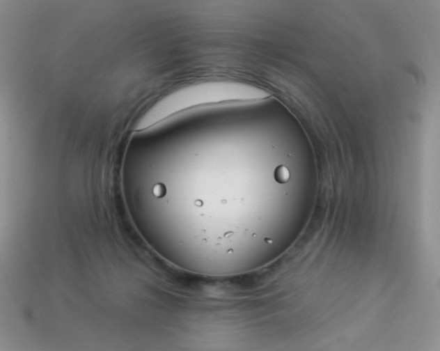 X0000113960268200910091635