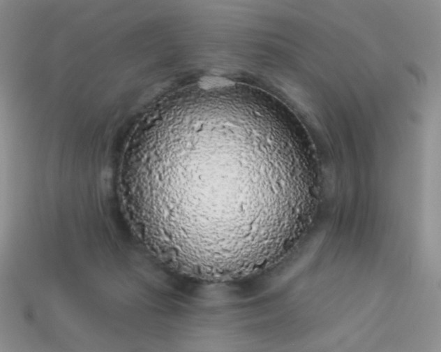 X0000113960269200910091635