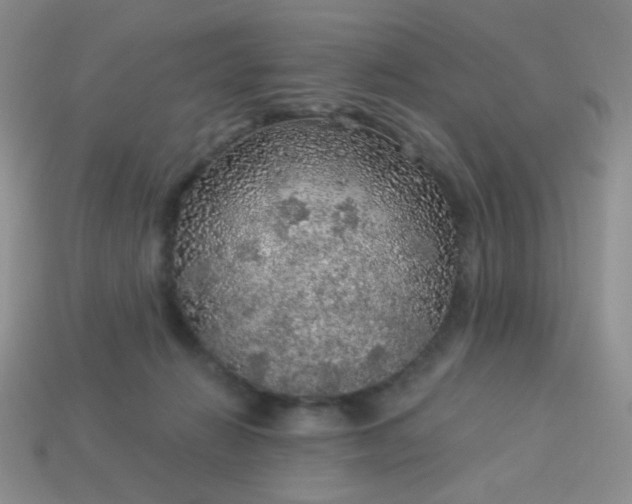 X0000113960270200910091635