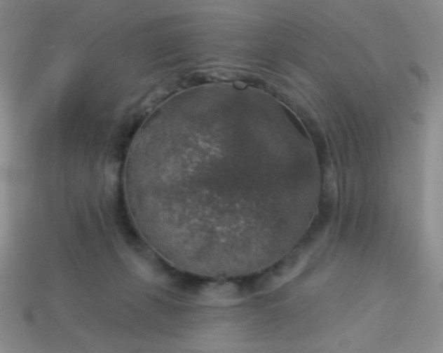 X0000113960271200910091635