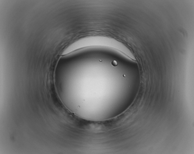 X0000113960272200910091635