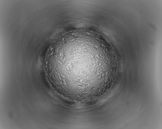 X0000113960273200910091635