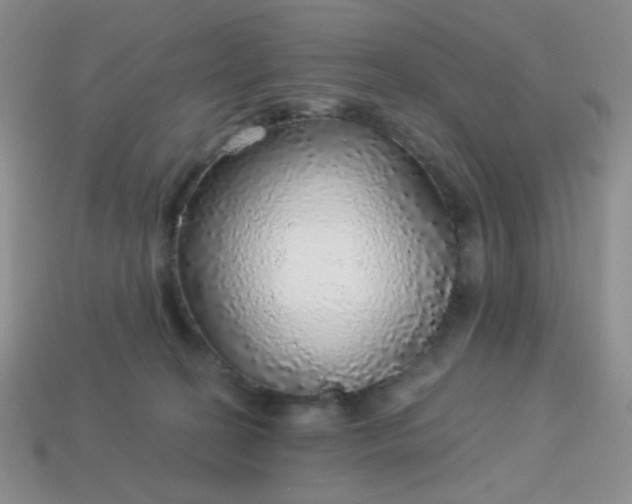 X0000113960274200910091635