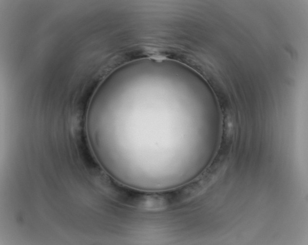 X0000113960275200910091635