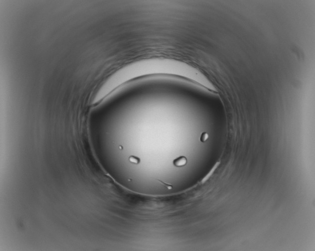 X0000113960276200910091635