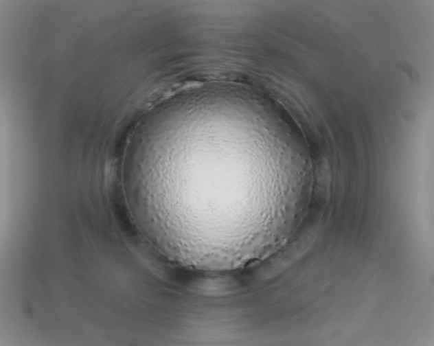 X0000113960278200910091635