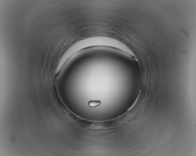 X0000113960280200910091635