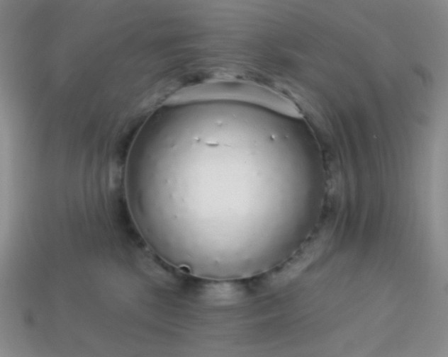 X0000113960281200910091635