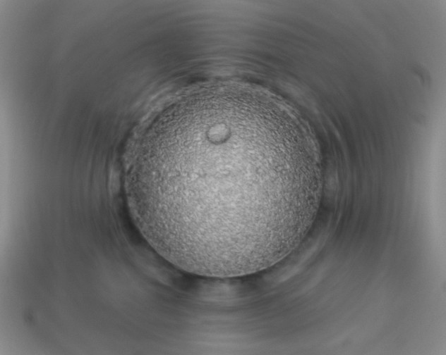 X0000113960282200910091635