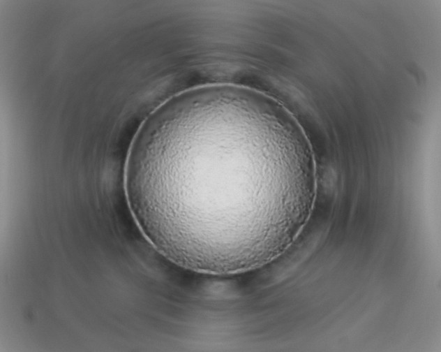 X0000113960283200910091635