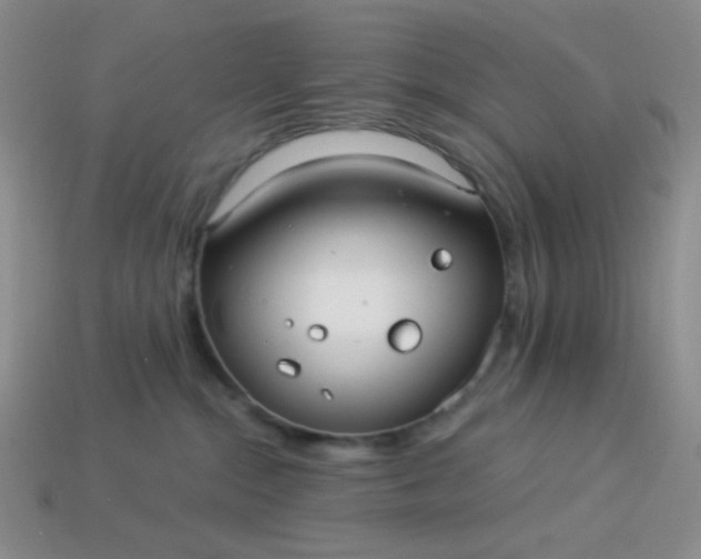 X0000113960284200910091635