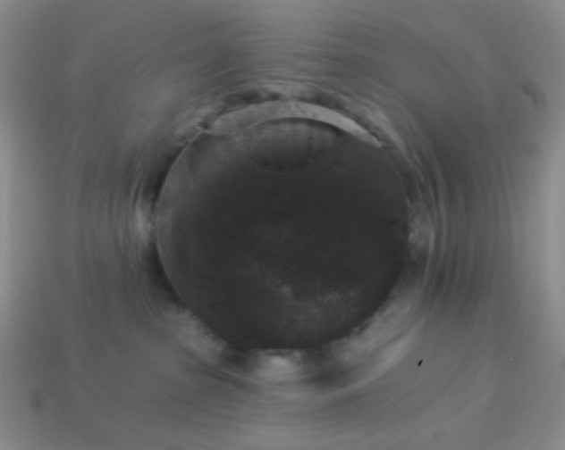 X0000113960285200910091635