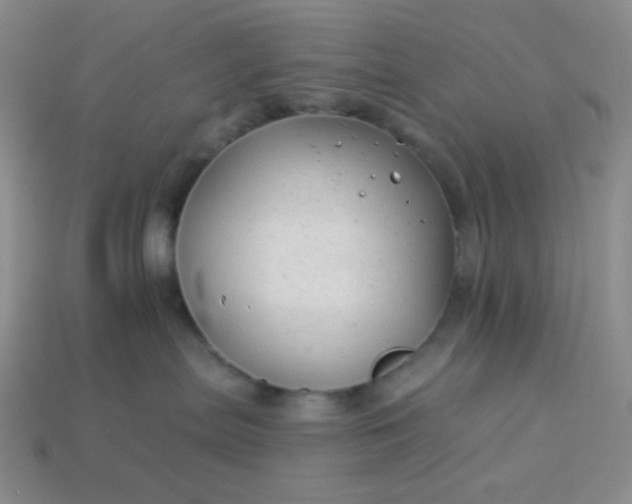 X0000113960287200910091635