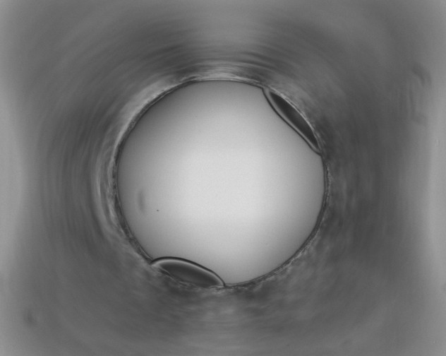 X0000113960289200910091635