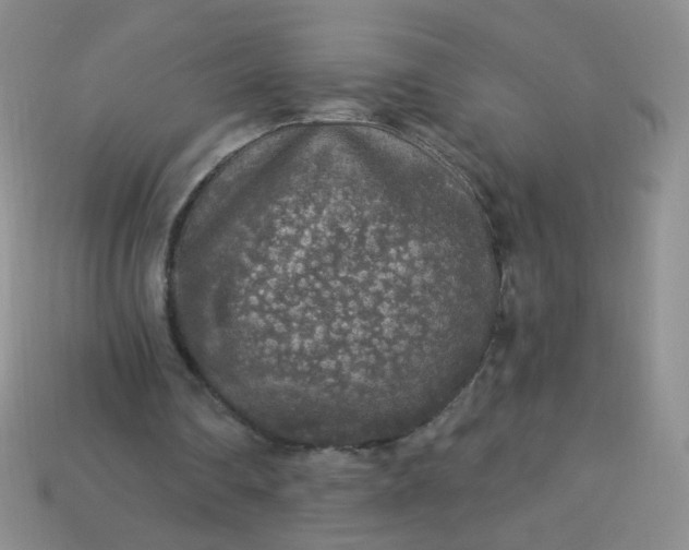 X0000113960290200910091635