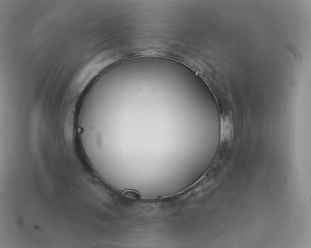 X0000113960291200910091635