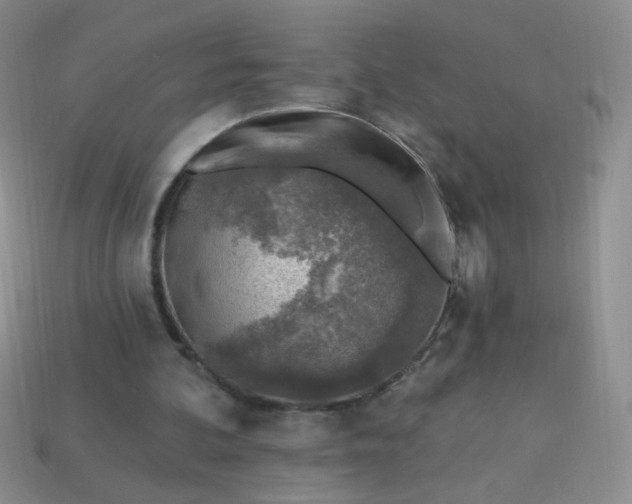 X0000113960292200910091635