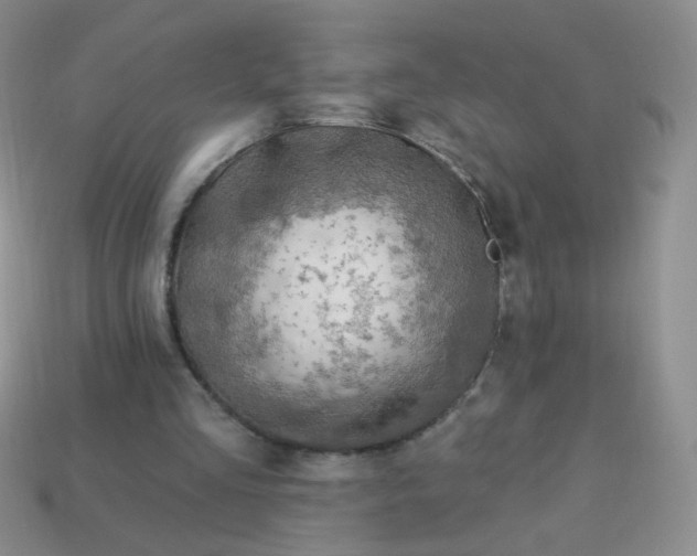 X0000113960293200910091635