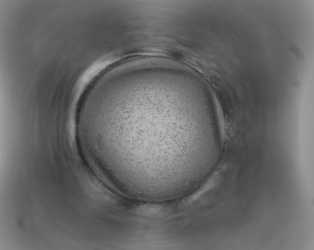 X0000113960294200910091635