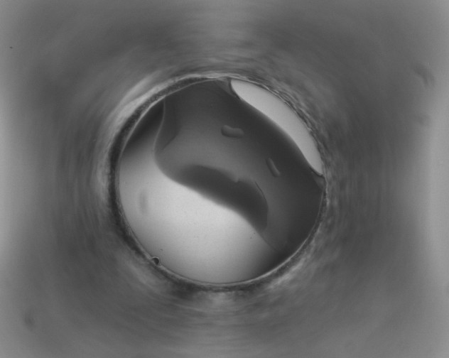 X0000113960295200910091635