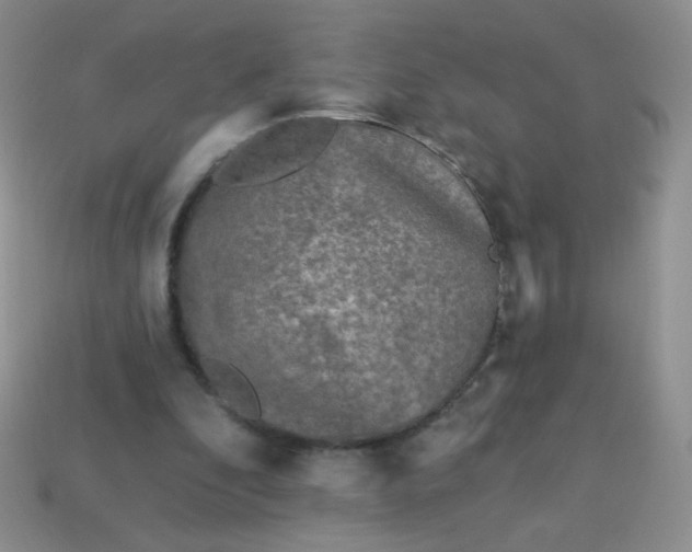 X0000113960296200910091635