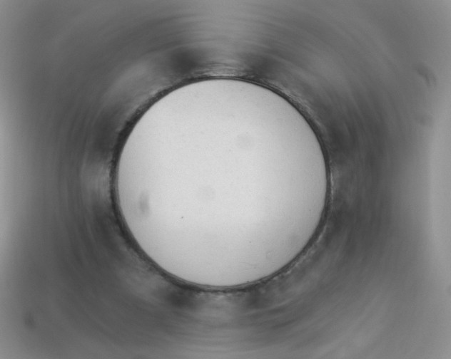 X0000113960297200910091635