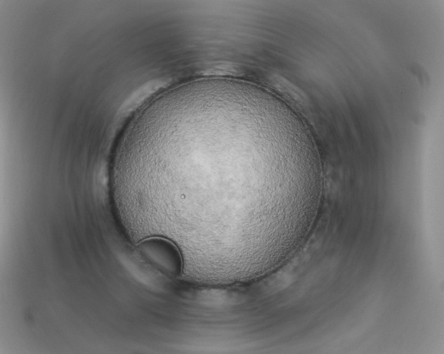 X0000113960298200910091635