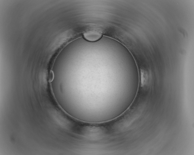 X0000113960300200910091635