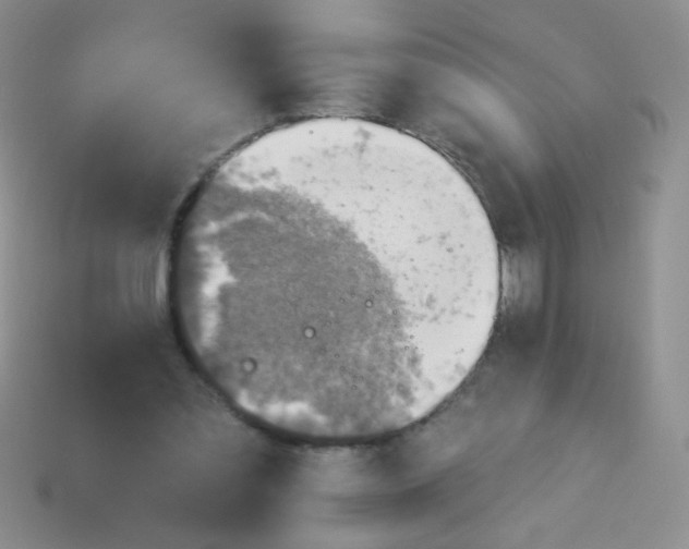 X0000113960301200910091635