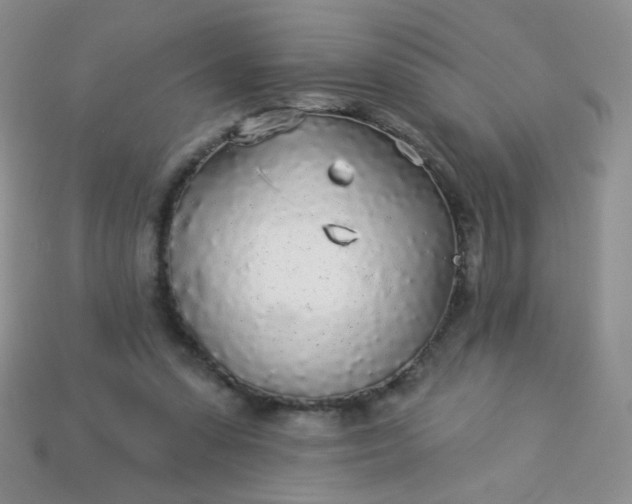 X0000113960303200910091634