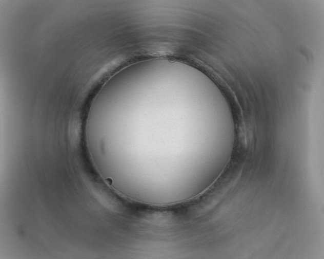 X0000113960304200910091634